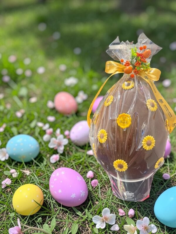 Oeuf Géant, chocolat noir